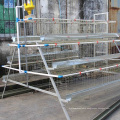 Chicken Cage for Laying/Broiler